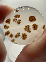 Scenic Dendritic Agate Cabochon #5