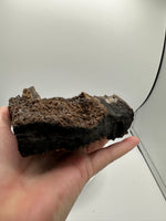 Permineralized Wood Specimen with Quartz Druzy