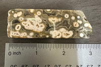 8th Vein Ocean Jasper Polished Free Form #7