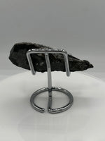 Natural Orthoceras Fossil Specimen #20