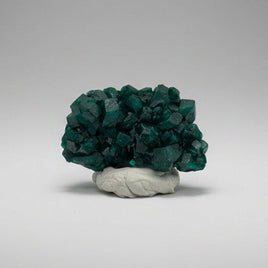 Green Dioptase from Reneville, DR Congo Specimen #1
