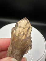 Natural Kundalini Citrine Lightbrary Crystal #12