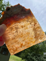8th Vein Ocean Jasper Slab #66