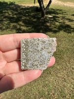 Ocean Jasper Free-form #8
