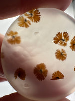 Scenic Dendritic Agate Cabochon #6
