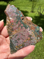 8th Vein Ocean Jasper Slab #52