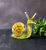 Green & Yellow Orange Snail with Skull