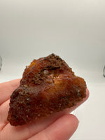 Withlacoochee River Agatized Coral #2