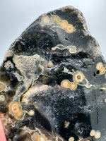 8th Vein Ocean Jasper Slab #33