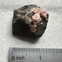 Rhodochrosite, Quartz, Pyrite, Santa Eulalia – Chihuahua, Mexico