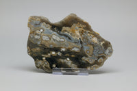 8th Vein Ocean Jasper Slab #29