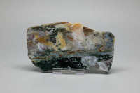 8th Vein Ocean Jasper Slab #42
