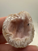 Oco Geode from Mexico #2