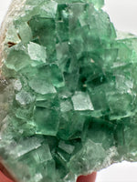 Green Fluorite Crystal Cluster from Madagascar