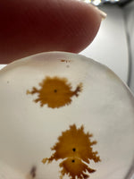 Scenic Dendritic Agate Cabochon #7