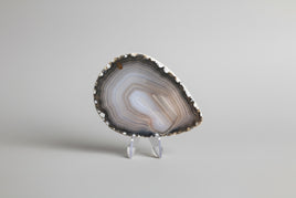 Agate Slice #16