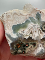 One of a Kind Bunny Shaped 8th Vein Ocean Jasper Slab #2