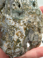 8th Vein Ocean Jasper Slab #14