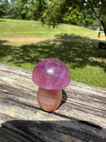 Colorful Fluorite Mushroom Carving #5