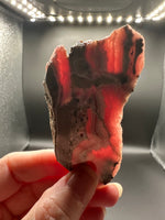 Natural Rhodochrosite Slab #11 – Pink Banded Patterns, Orb Formations & Matrix