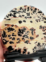Natural Picture Jasper Slab with Stand #8
