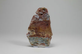 8th Vein Ocean Jasper Slab #53