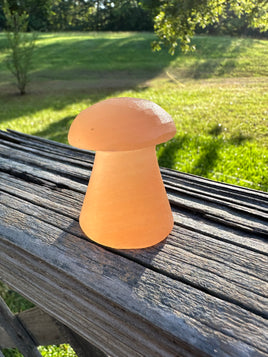 Peach Selenite Mushroom #7