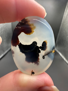 Designer Dendritic Agate Cabochon #11
