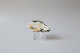 6th Vein Ocean Jasper Polished Freeform #8