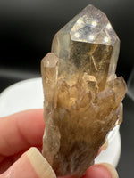 Natural Kundalini Citrine Lightbrary Crystal #12