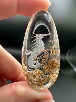 Beautiful Seahorse Garden Quartz Inner Scene with Rainbow Carving #12