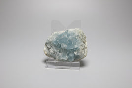Celestite Cluster Specimen #5