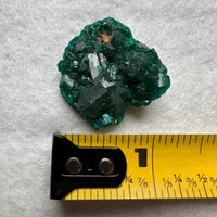 Green Dioptase from Reneville, DR Congo Specimen #2