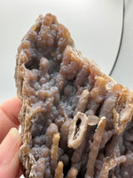 Withlacoochee River Agatized Coral #14