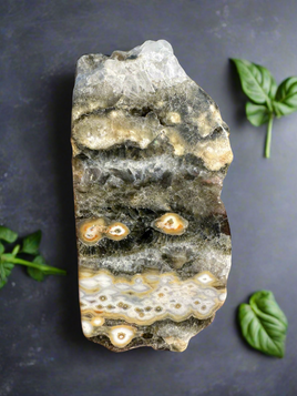 8th Vein Ocean Jasper Polished Free Form #18