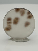 Scenic Dendritic Agate Cabochon #2