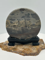 Natural Picture Jasper Slab with Stand #1
