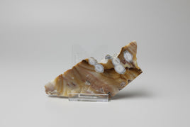6th Vein Ocean Jasper Polished Freeform #25