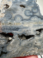 8th Vein Ocean Jasper Slab #5