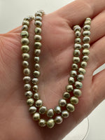 Light Lime Freshwater Pearl Strand #10