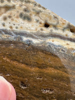 8th Vein Ocean Jasper Slab #15