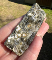 8th Vein Ocean Jasper Polished Free Form #7