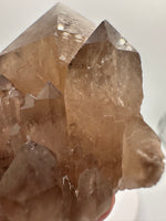 Kundalini Natural Citrine Crystal, D R Congo, Lightbrary #9