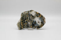 8th Vein Ocean Jasper Slab #38