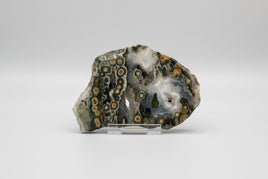 8th Vein Ocean Jasper Slab #38