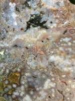 8th Vein Ocean Jasper Slab #47