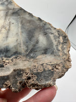 Dendritic Opal Slab