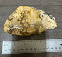 8th Vein Ocean Jasper Slab #102