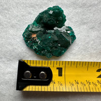 Green Dioptase from Reneville, DR Congo Specimen #2