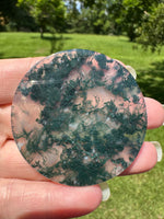 Moss Agate Polished Round Slice #18